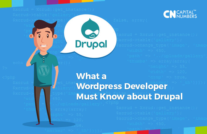 drupal developer