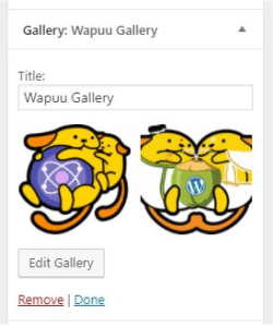 The New Gallery Widget