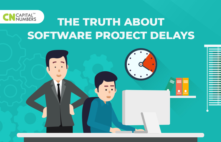 Software Project Delays