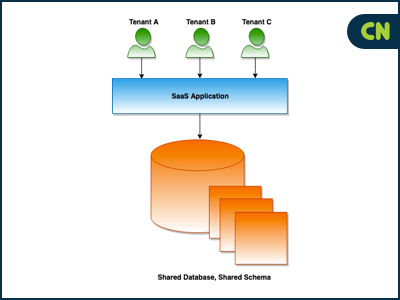 Shared Database, Shared Schema