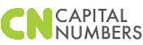 Capital-Numbers-Offshore-development-company-logo