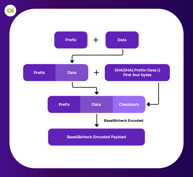 Data encoding in Base58check