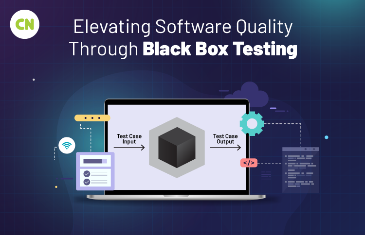 Black Box Testing for Software Quality