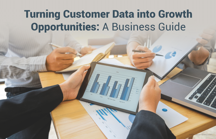 Turn customer data into growth opportunities