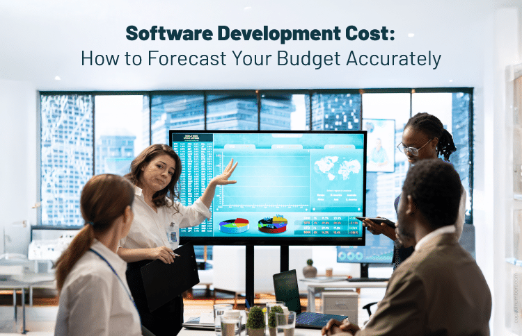 Software Development Cost Estimation