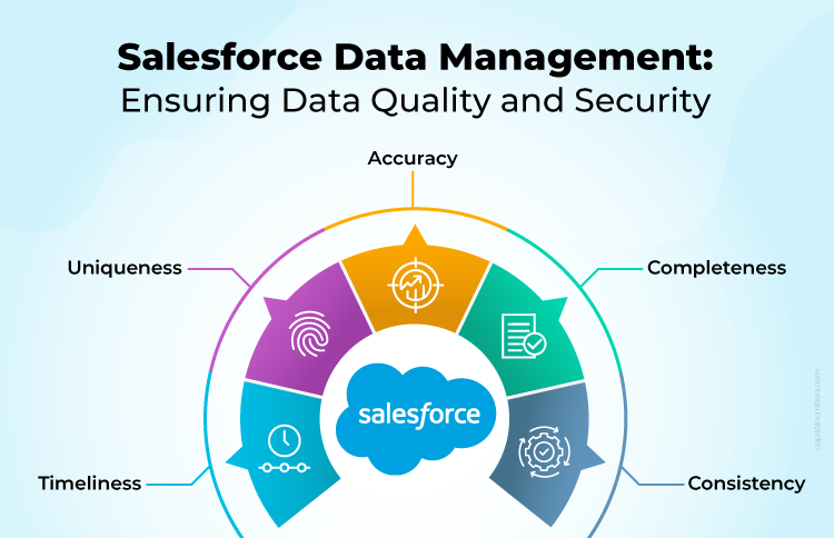 Salesforce Data Management