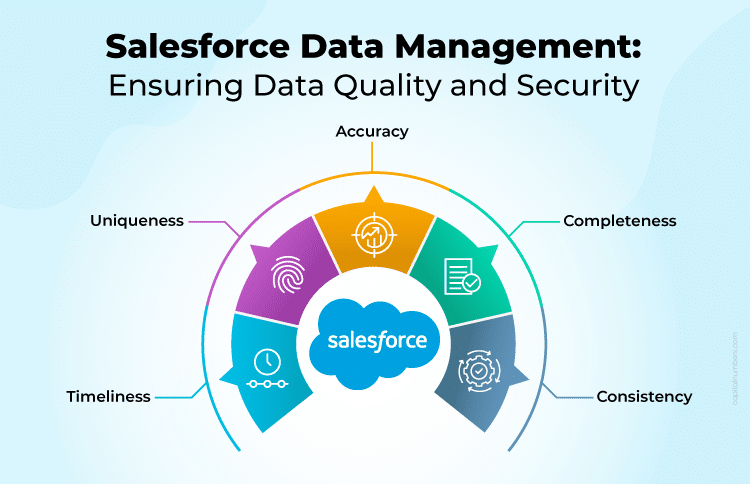 Salesforce Data Management