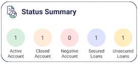 Loan Status Summary