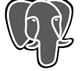 PostgreSQL icon