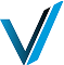 Vormetric Data Security logo